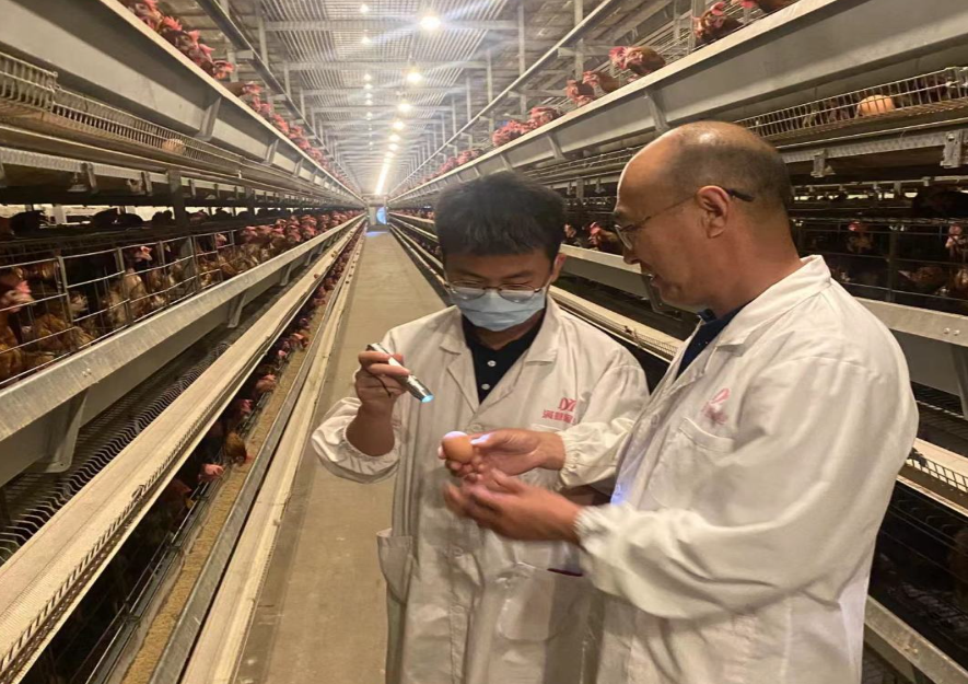 1702971581593695.png 7.png