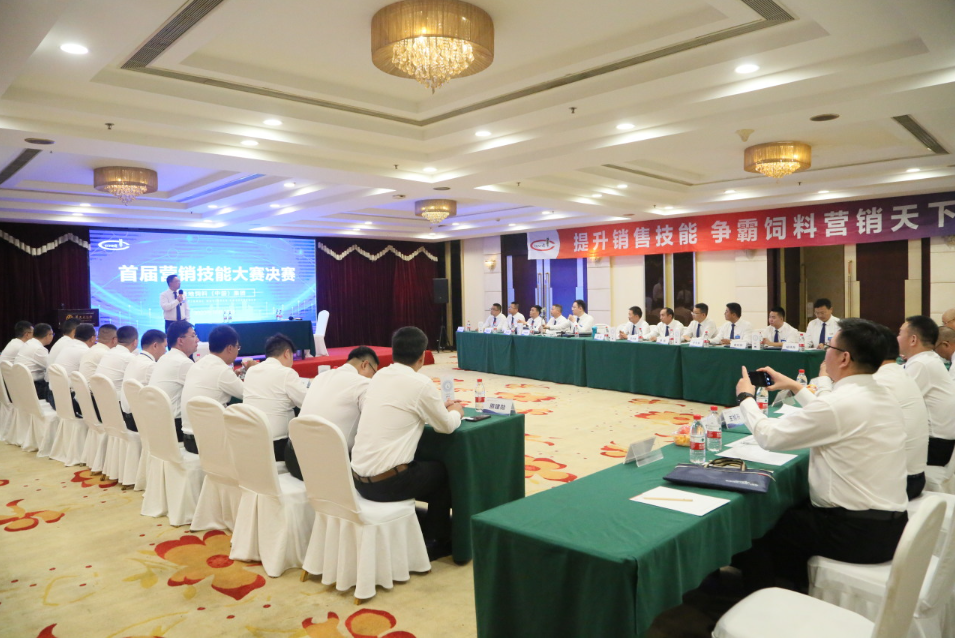 1702973954131916.png 19.png